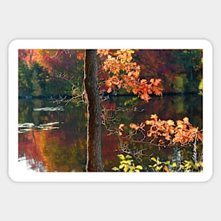 Autumn Light Sticker